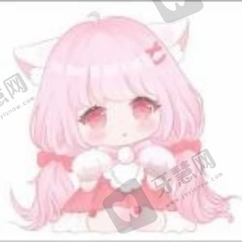 炖猪蹄