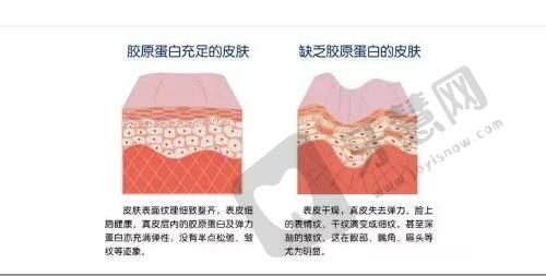 2025年中山十大美容整形医院排行榜大揭秘，本地优质好口碑医院值得关注！