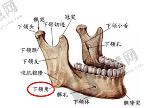 中山美容整形医院选择建议