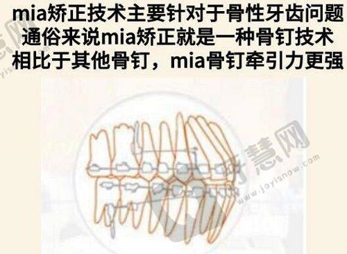 医生团队介绍