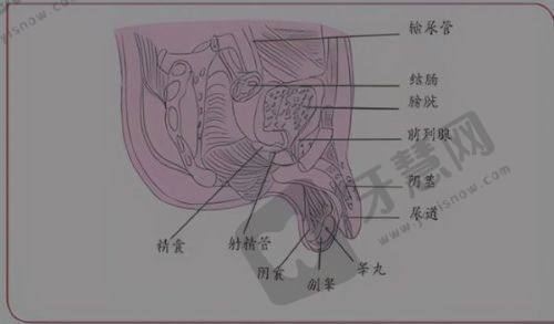 北京华韩医疗美容医院：伊妍仕少女针个性化注射典范