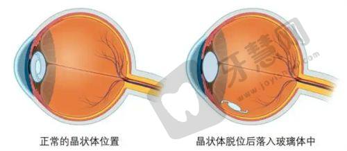 热门项目介绍
