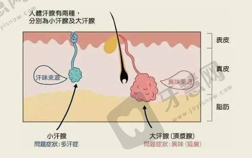 整形医院——2025北京筋膜提升好的医院推荐