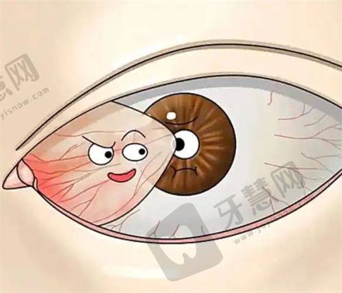辽宁抚顺海睿眼视光来院路线