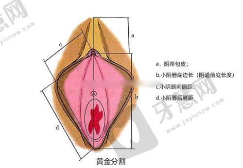 兰大一院整形科2025年面部整形项目价格