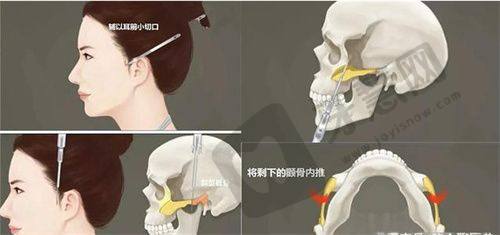 佛山曙光金子医学美容医院其他信息