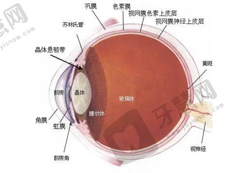 总结