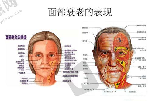 北京医院整形外科重要骨干医生技术优势