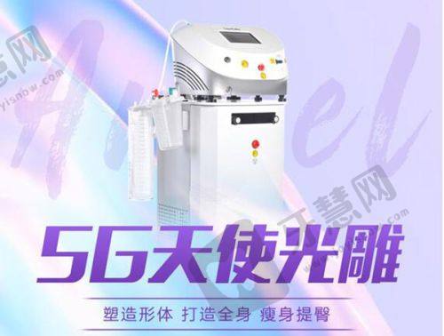 总结摘要