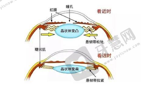北京嘉禾李燕医生擅长项目详解