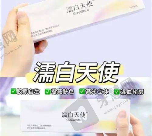 引言