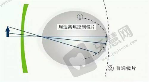 王宁利简介资料