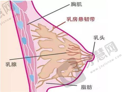 北京国内下颏成型手术价格