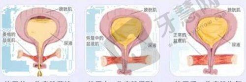 北京三仁医疗整形的正规性剖析