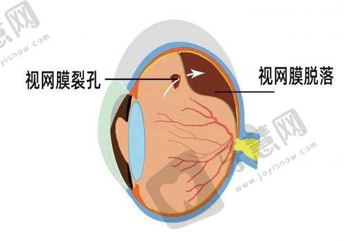 王乐今医生介绍