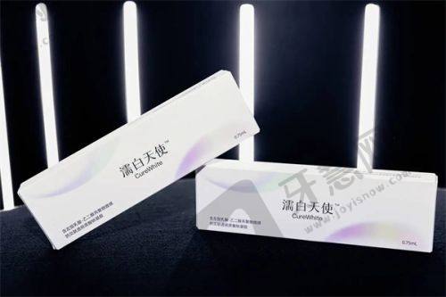 北京丽星翼美总结