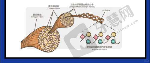 北京禾美嘉医疗美容口碑