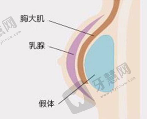 2025 惠州整形医院排名前十揭秘！附部分医院详情及鼻整形价格