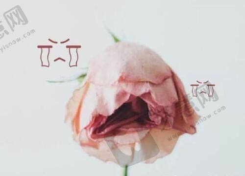 深圳八大处医疗美容医院交通及周边