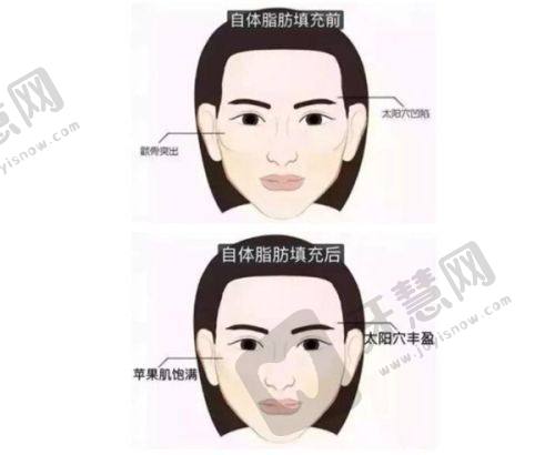 高良杰医生联系方式相关