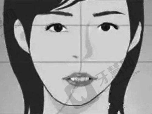 总结与引导