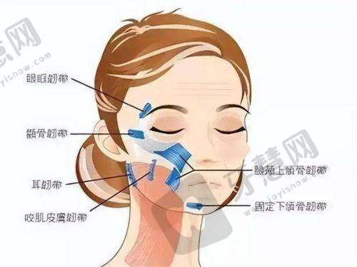 武汉乐美医疗美容门诊部医生团队