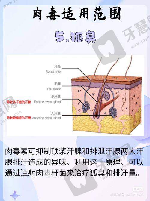 整形项目价格表及推荐医生攻略