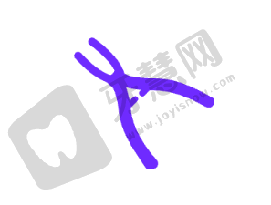 上海苏齿博信口腔贴片牙齿多少钱一颗——专精医生团队