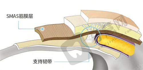 上海伯思立医疗美容门诊部地址在哪及眼部整形优势？医生技术佳口碑好，预约便捷