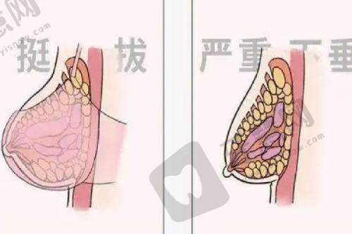 赵敏医生收到的顾客好评