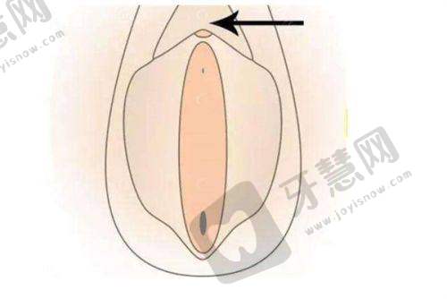 康美整形医院正规口碑好之审美与技术兼具