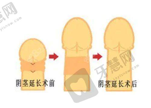北京伊芙丽格医疗美容诊所基本信息