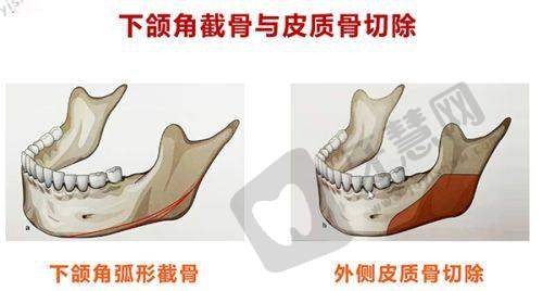 北京泰美丽格医疗美容诊所医生简介