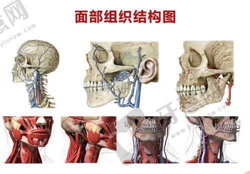 杨明强医生的顾客好评分享
