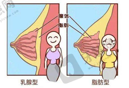 2025年排名详情