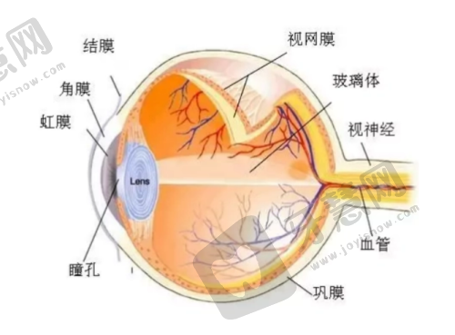 2025年爱尔眼科150度到1800度近视手术全价位攻略内容:半飞秒手术解析