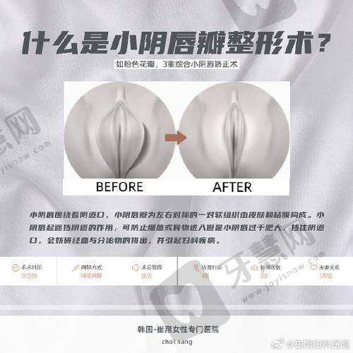 薛凯文医生的执医荣誉体现