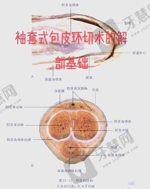 北京冰新丽格医疗美容门诊部医生简介