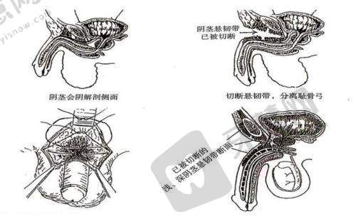 北京张菡丽格医疗美容诊所口碑好不好？附真实患者口碑评价