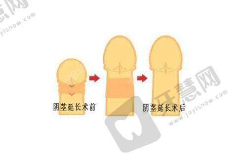 北京伊芙丽格医疗美容诊所医生简介