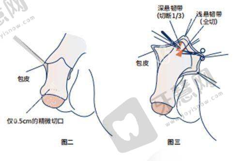 徐州华美美容医院地址电话