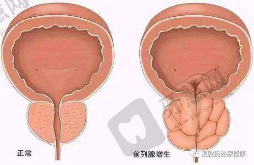 北京叶子医疗美容医院口碑好不好?附真实患者口碑评价
