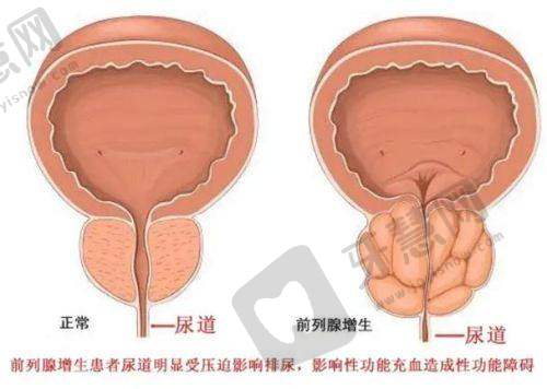 北京卓彦丽格医疗美容门诊部地址及乘车路线