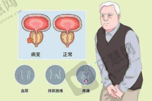 北京蒂凡妮医疗美容门诊部地址及乘车路线