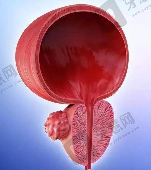 北京伊芙丽格医疗美容诊所项目特色