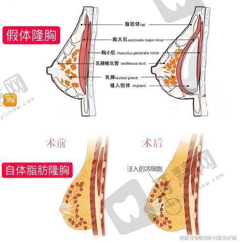 太原华晋医院整形科价格表/收费标准2025年