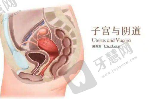 四、真人实例分享:3位求美者的“妈生鼻”蜕变记