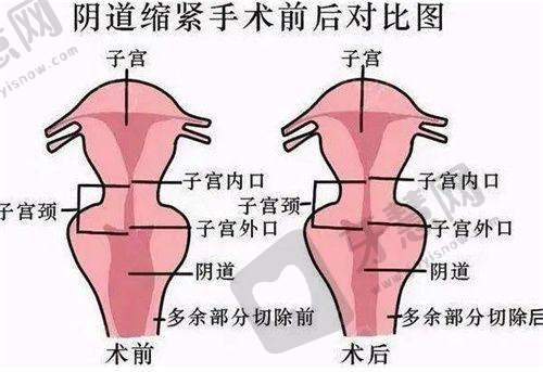陈军医生执医荣誉