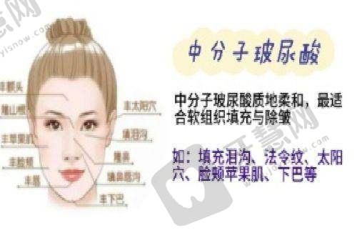 张雪莹医生执医荣誉