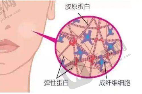 二十四种B型状示意图的意义与启示